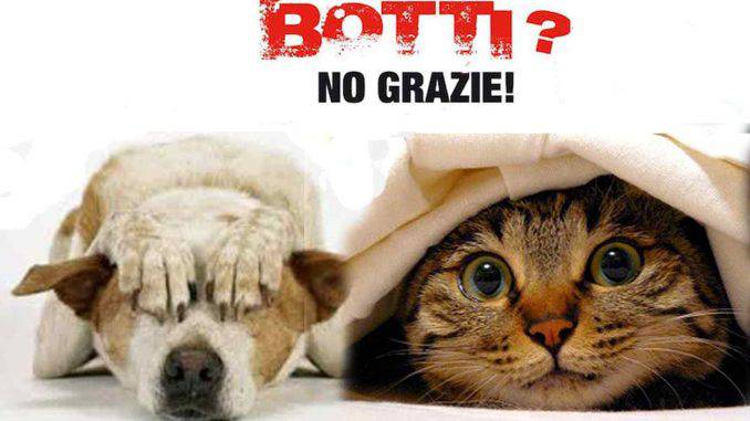 botti capodanno 598431