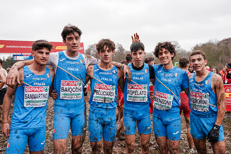 pellicciardi gruppo