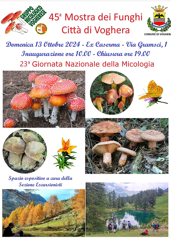 locandina funghi