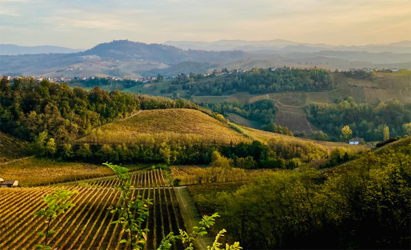 oltrepo panorama