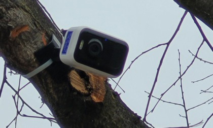 fototrappola