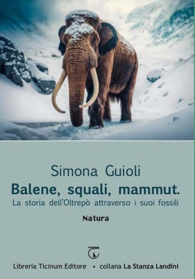 libro simona
