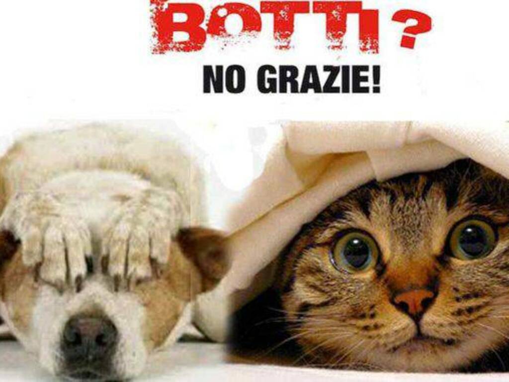 botti