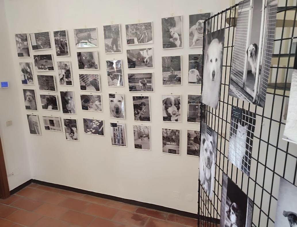 mostra enpa rivanazzano2