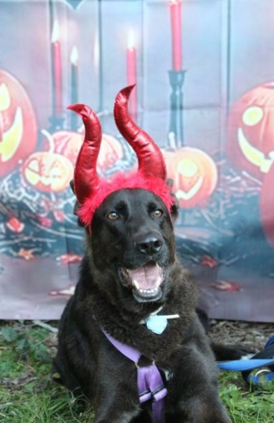 CANE ENPA