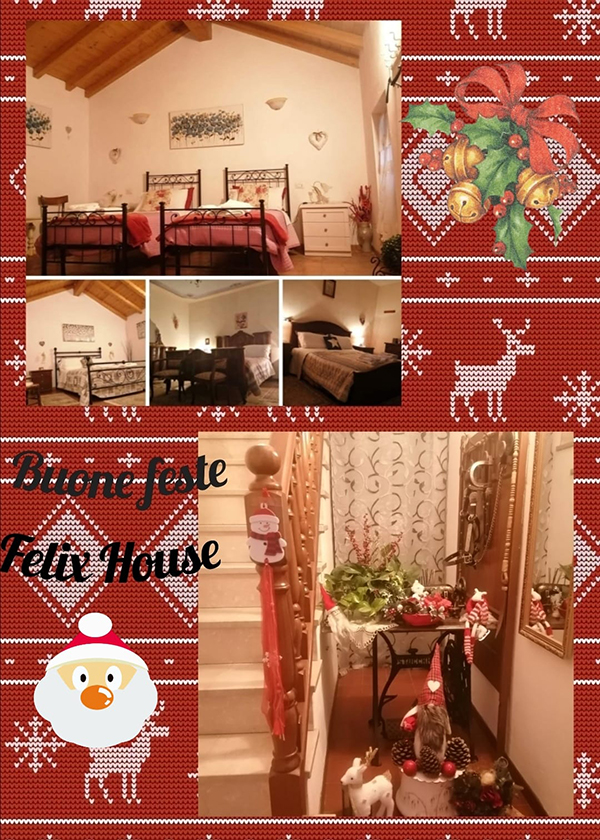 felixhouse4