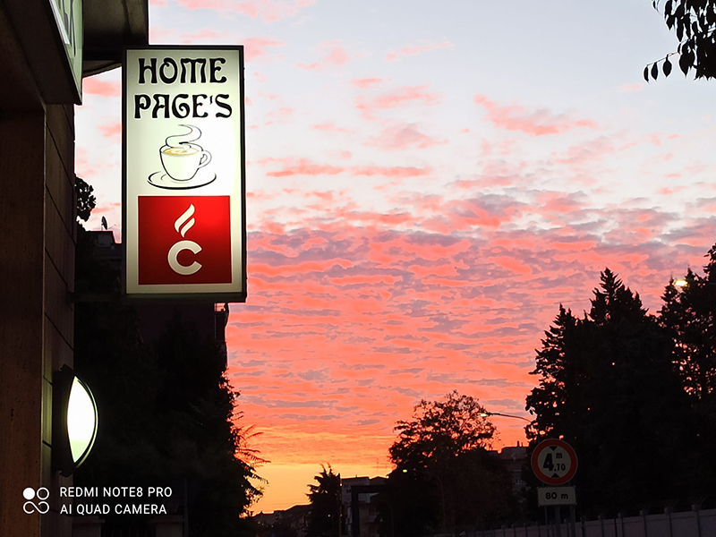 insegna homepage