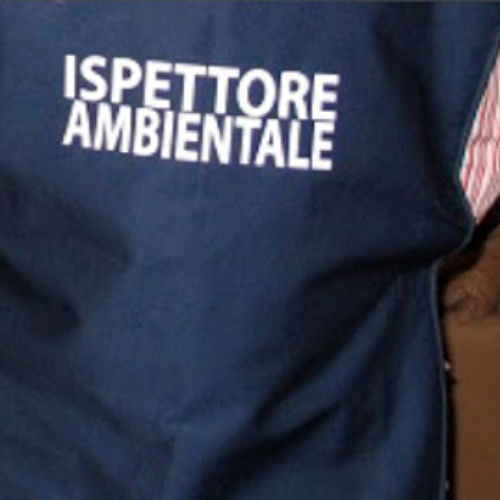 ispettore ambientale