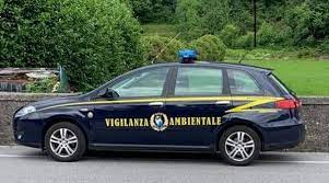 vigilanza ambientale