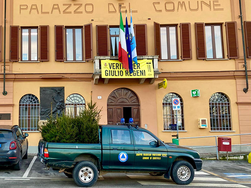 natale sempreverde
