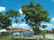 borgo priolo tn