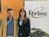 carlo forlino tn