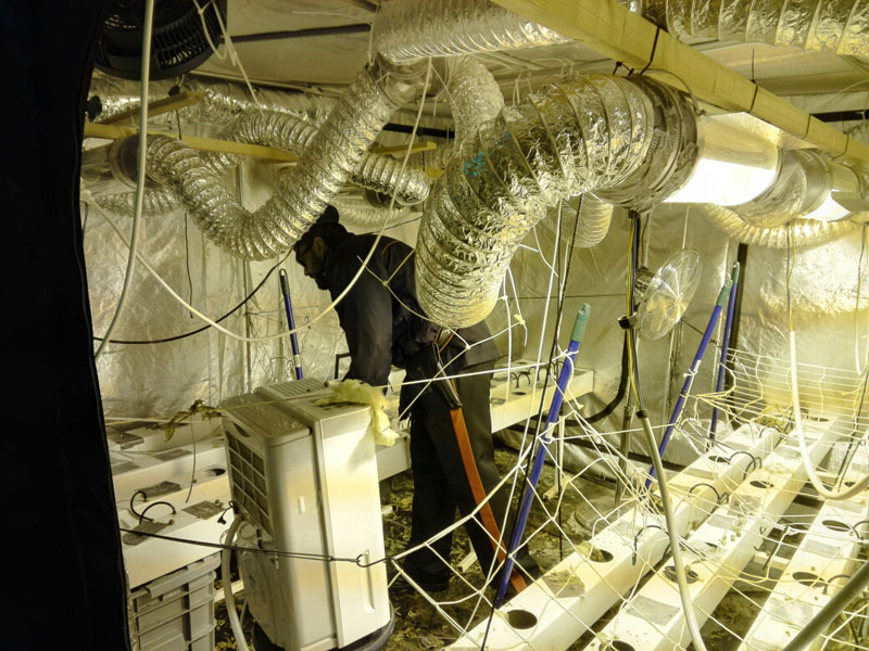 laboratorio1