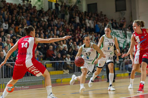 basket1 tn