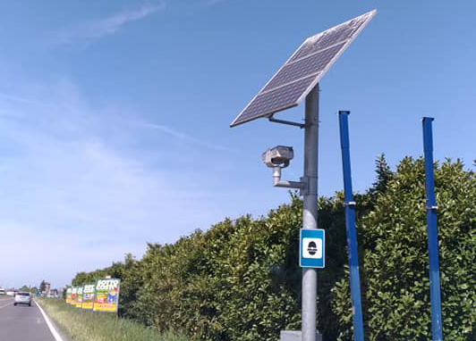 velox casei