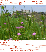 cartolina montesegale tn