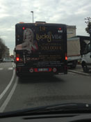 bus_azzardo_tn