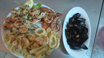 pesce tn