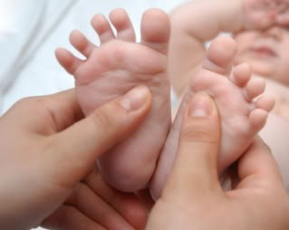 piedi