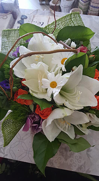 fiore nuovo tn