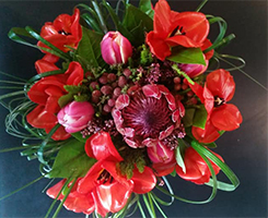fiori primavera1 tn