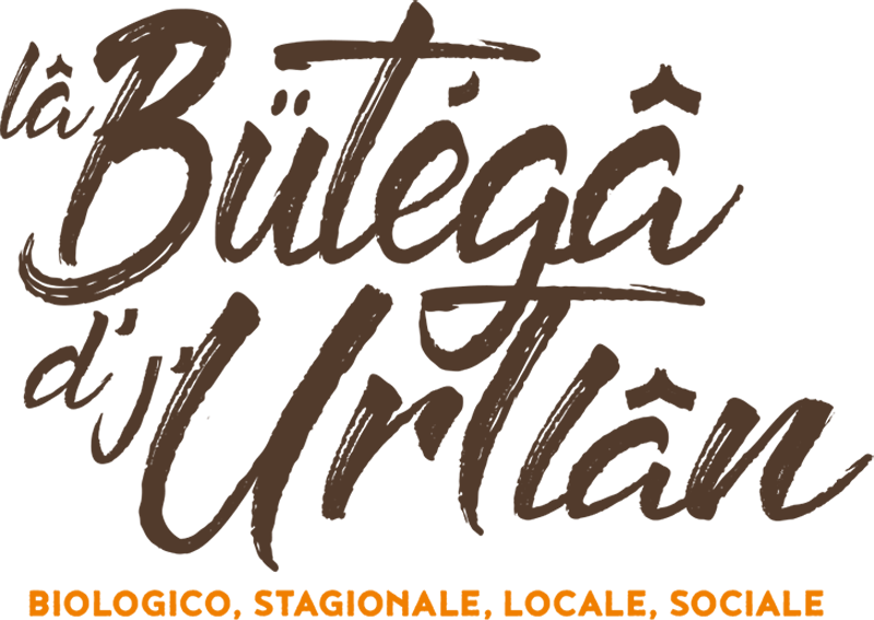 LOGO WEB
