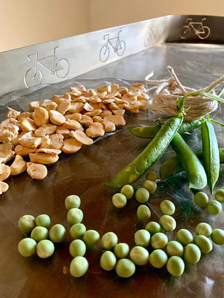 fava