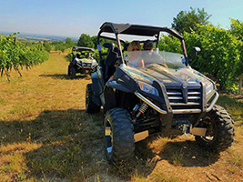 aperibuggy tn