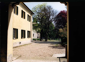 migliora2 tn