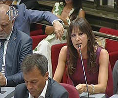 lucchini parlamento tn