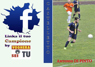 facegol dipinto tn