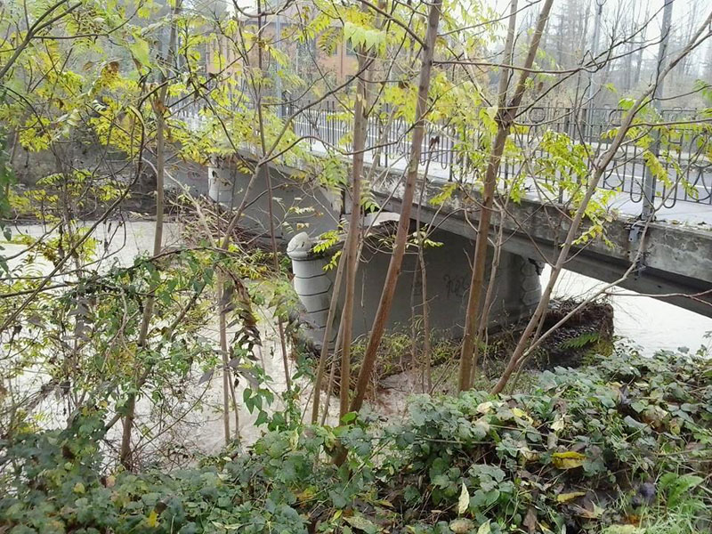 ponte2