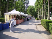 viale parco tn