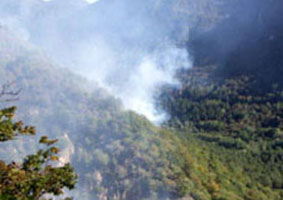 incendio bosco