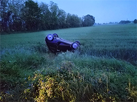 auto campo tn