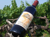 vino-oltrepo_tn