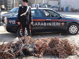 carabinieri rame tn