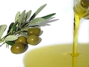 olio oliva tn