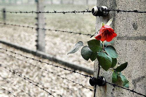 shoah