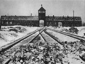 SHOAH (click to enlarge) shoah_tn