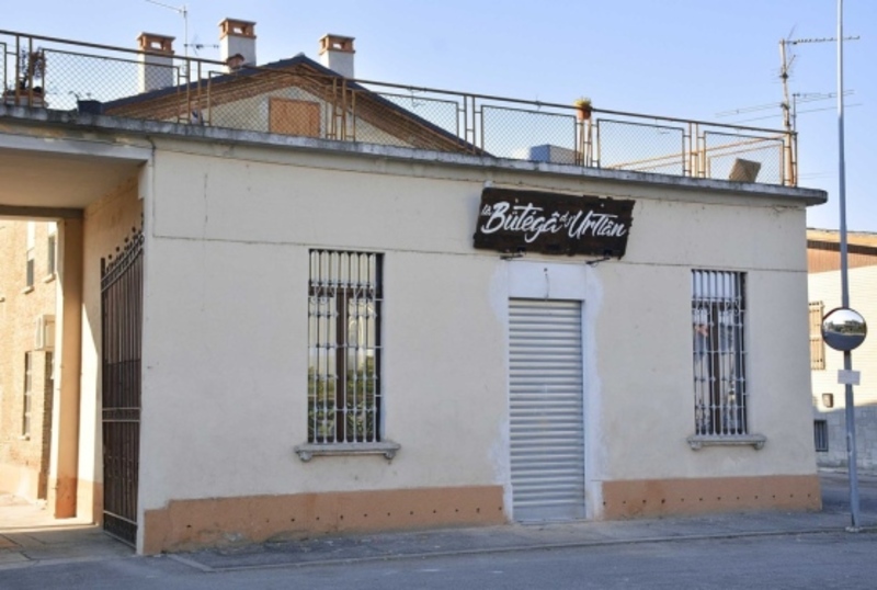 800px urtlan
