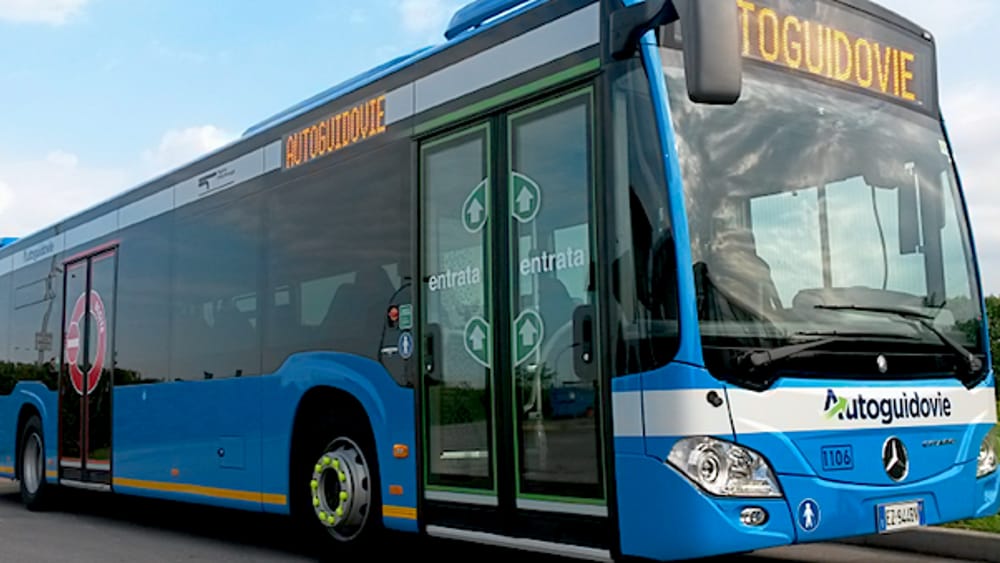 autobus corriera 2