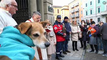 benedizione animali tn