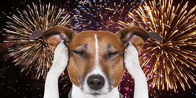 botti capodanno tn
