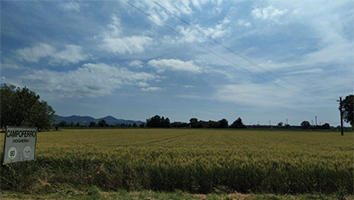 campoferro