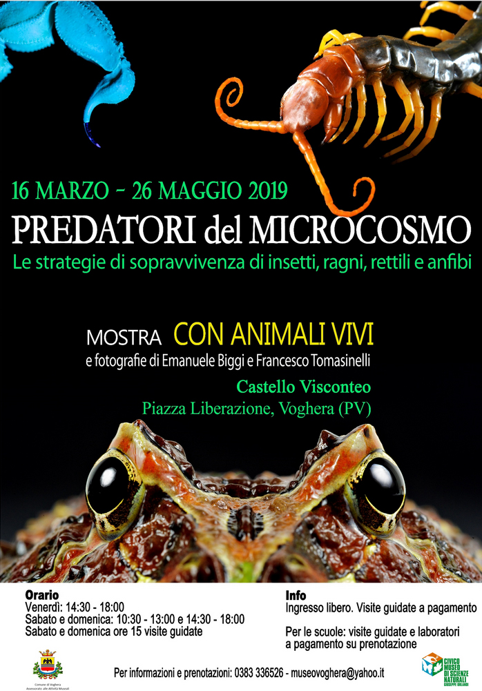 locandina mostra