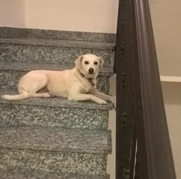 maggie 2