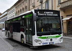 nuovi bus tn