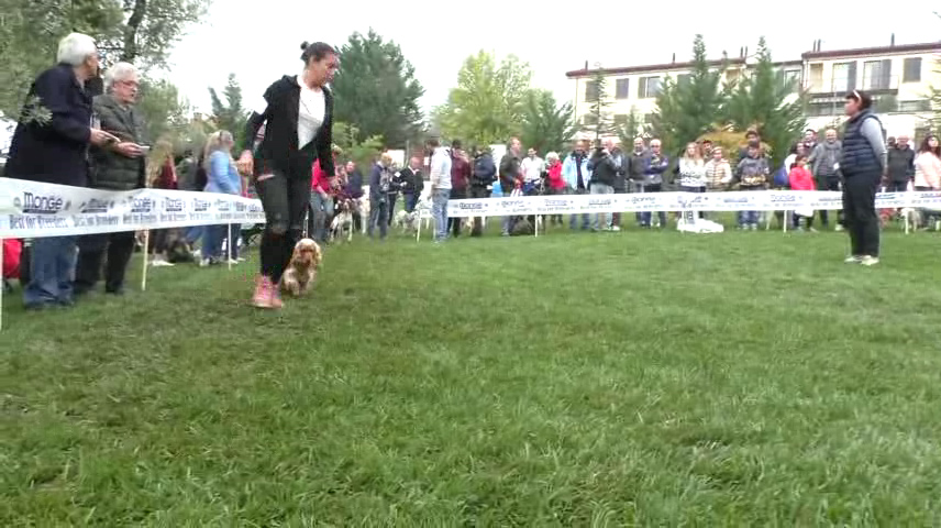 cinofila varzi.mp4.Immagine001