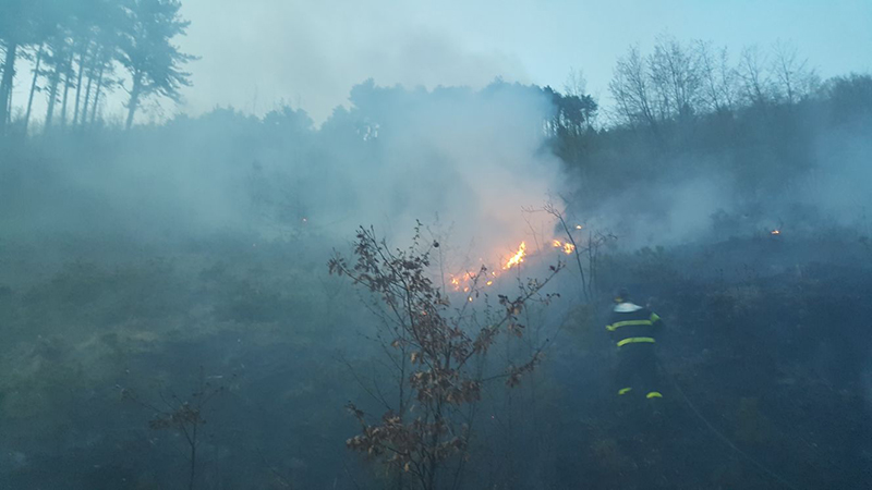 incendio brallo1